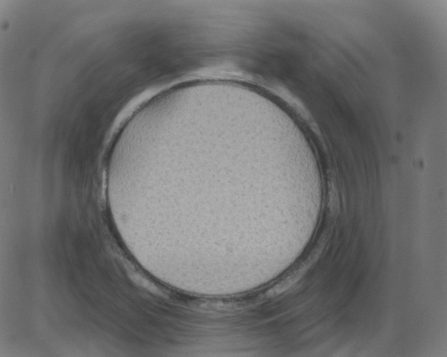 X0000084051366200703161846