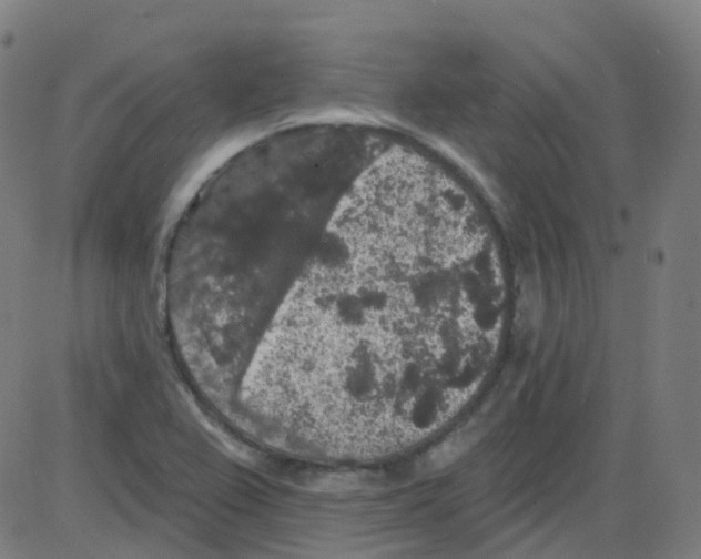 X0000084051367200703161846