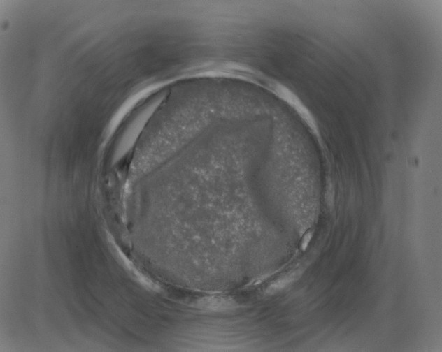 X0000084051368200703161846