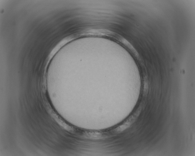 X0000084051370200703161846