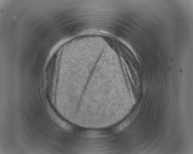 X0000084051371200703161846