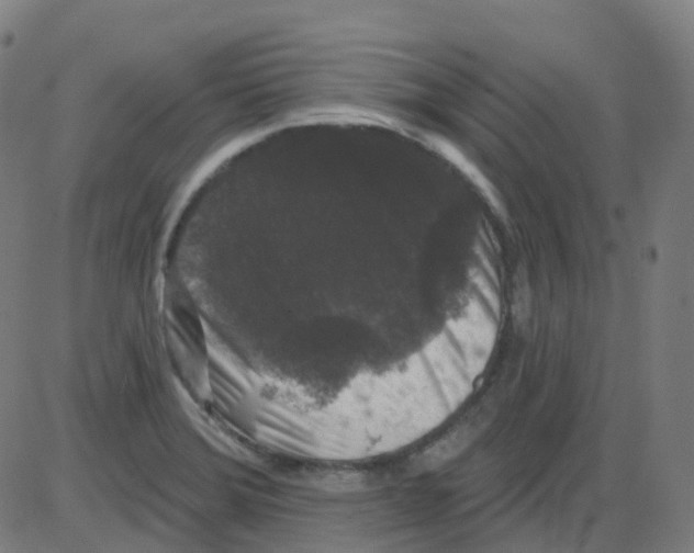 X0000084051372200703161846