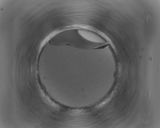 X0000084051373200703161846