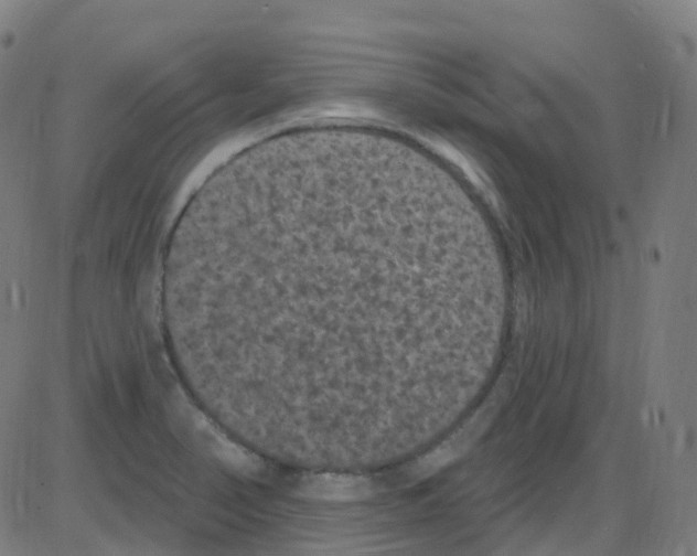 X0000084051374200703161846