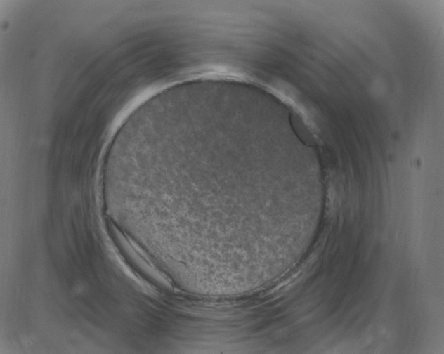 X0000084051375200703161846