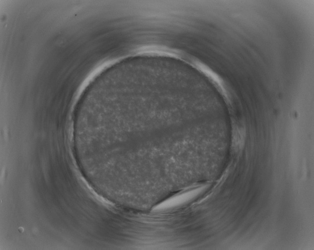 X0000084051376200703161846