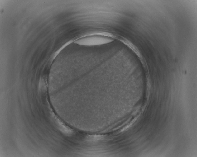 X0000084051377200703161846