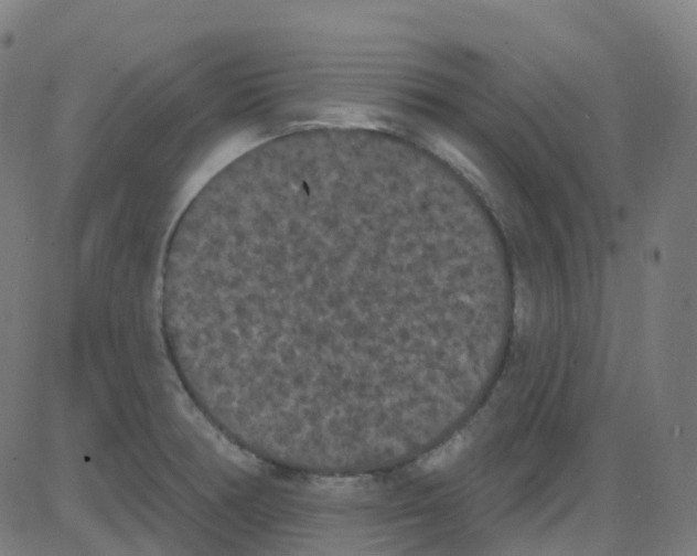 X0000084051378200703161846