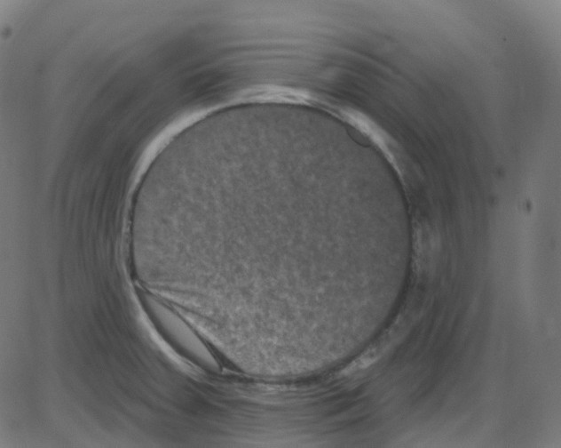 X0000084051379200703161846