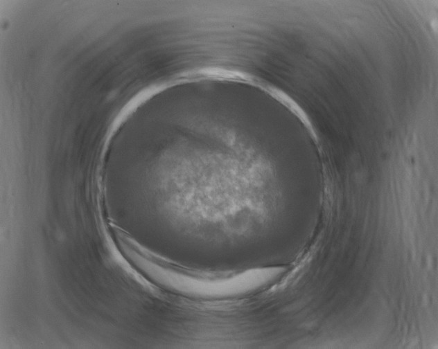 X0000084051381200703161846