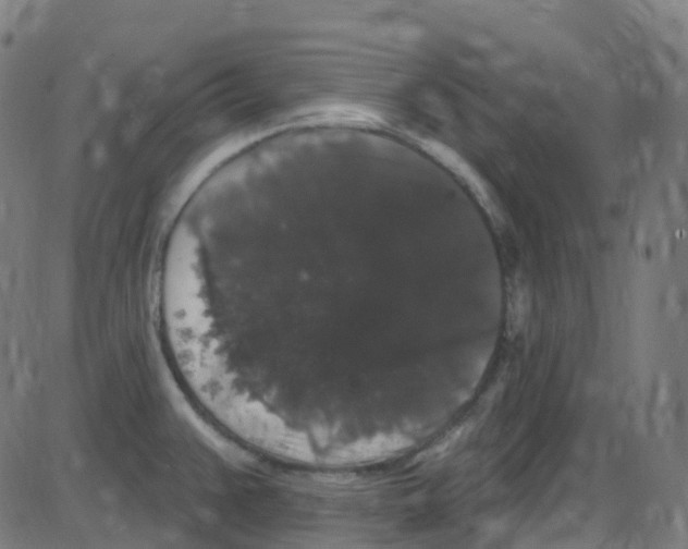 X0000084051383200703161846