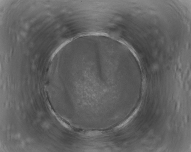 X0000084051385200703161846