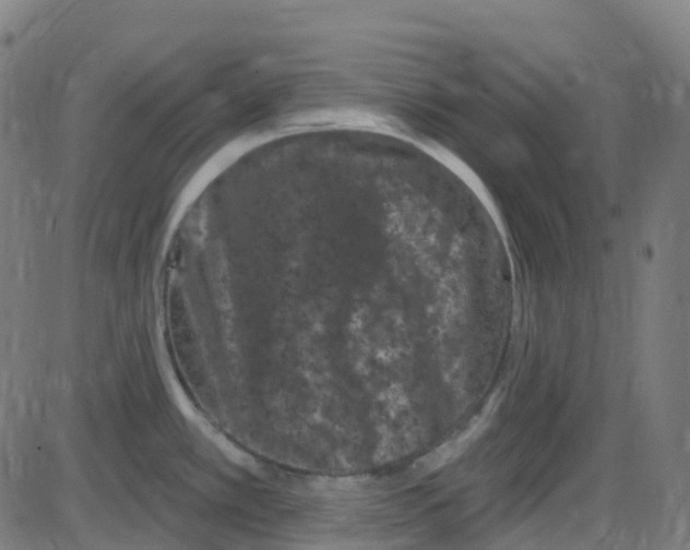 X0000084051389200703161846