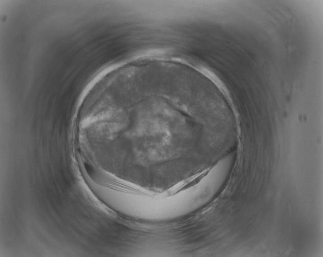 X0000084051392200703161845