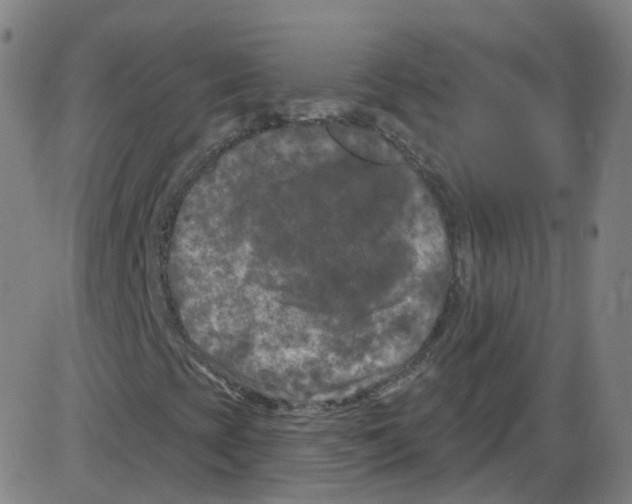 X0000084051393200703161845