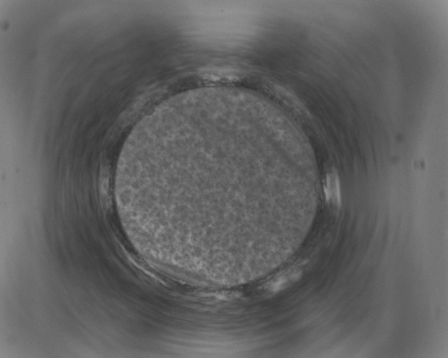 X0000084051396200703161845