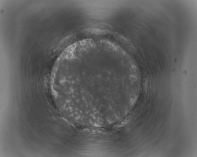 X0000084051397200703161845