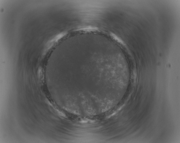 X0000084051398200703161845