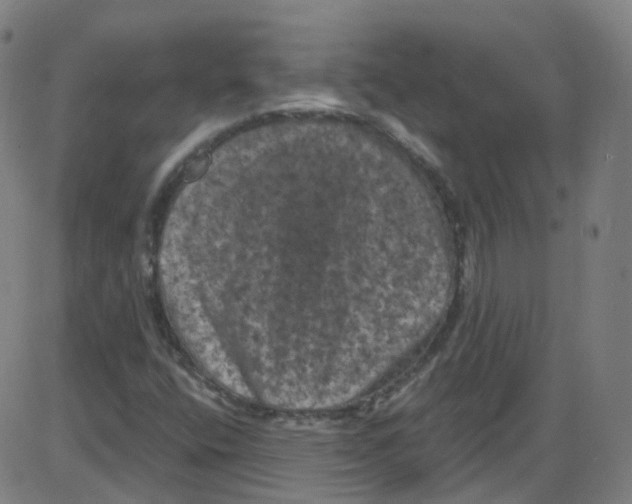 X0000084051400200703161845