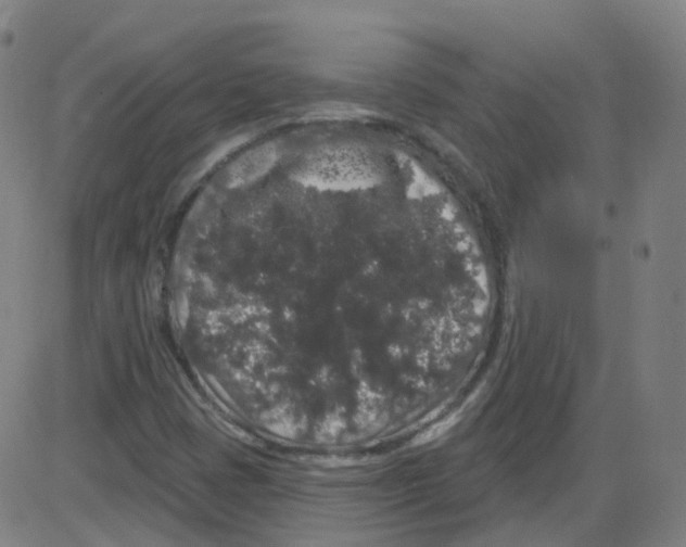 X0000084051401200703161845