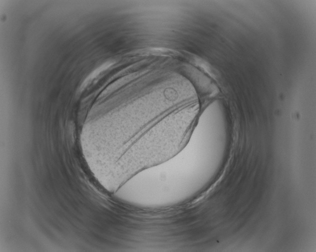 X0000084051402200703161845