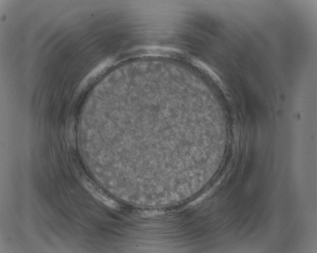 X0000084051403200703161845