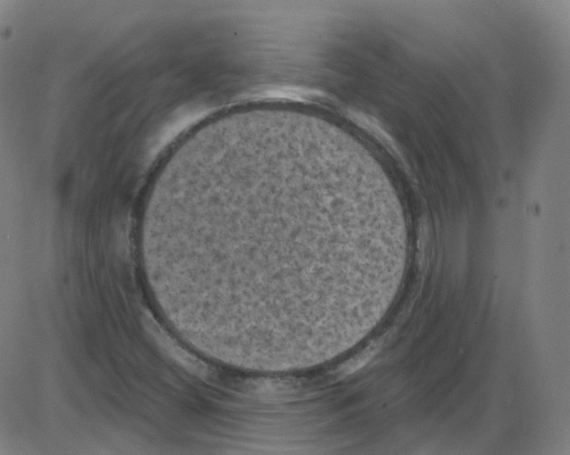 X0000084051404200703161845