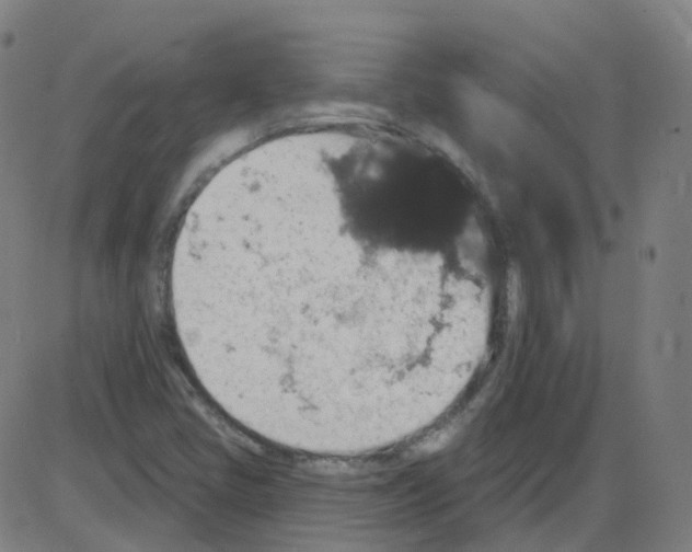 X0000084051405200703161845