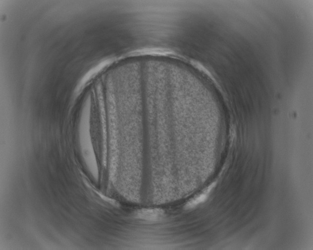 X0000084051406200703161845