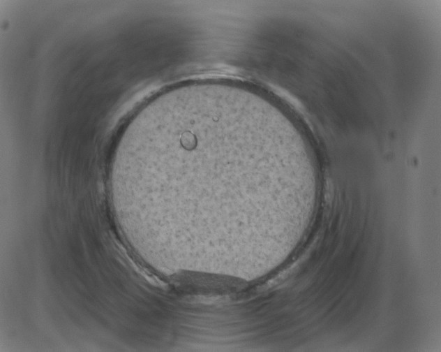 X0000084051407200703161845