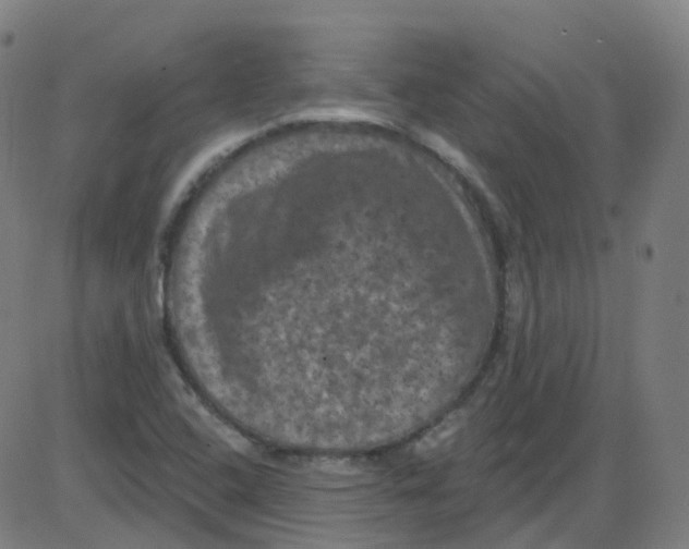 X0000084051408200703161845