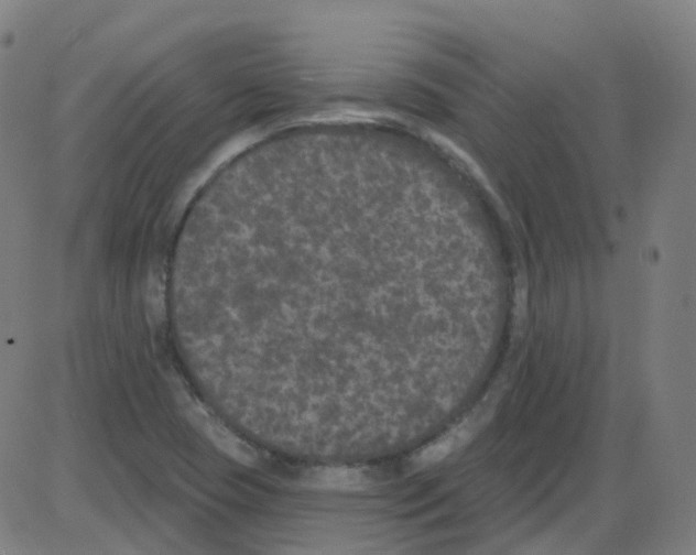 X0000084051409200703161845