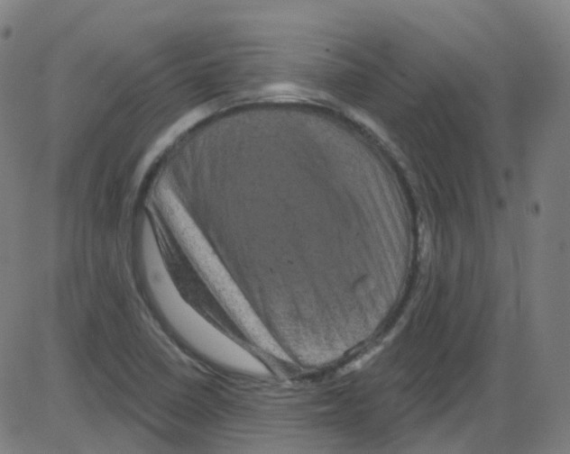 X0000084051410200703161845