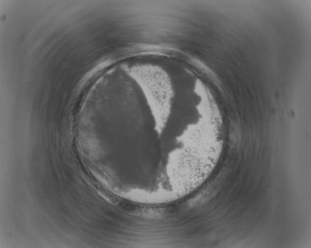 X0000084051411200703161845