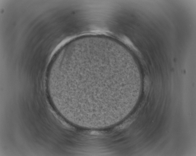 X0000084051412200703161845