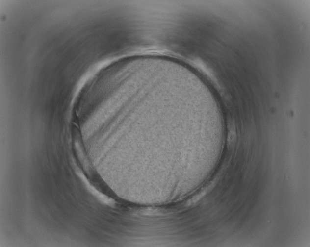 X0000084051414200703161845