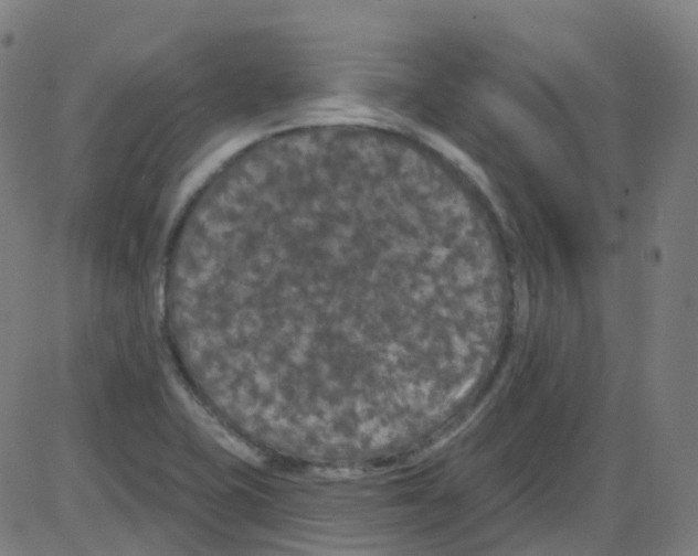 X0000084051415200703161845