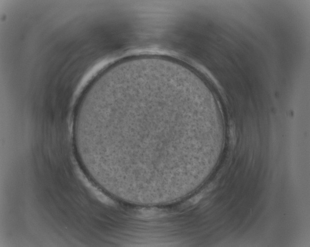 X0000084051416200703161845