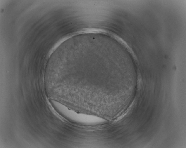 X0000084051417200703161845