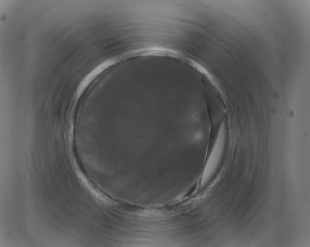 X0000084051418200703161845