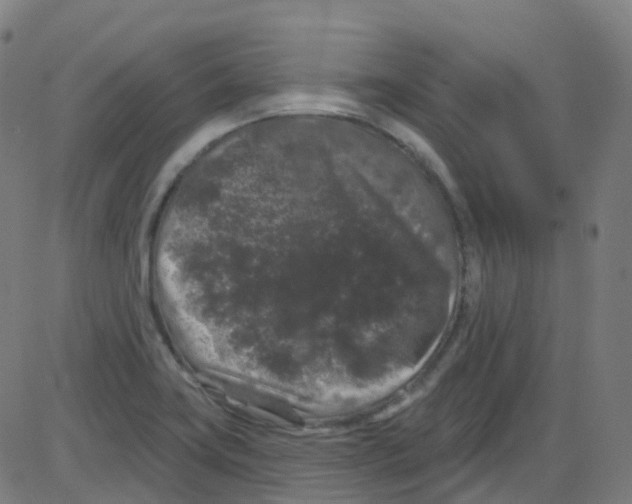 X0000084051419200703161845