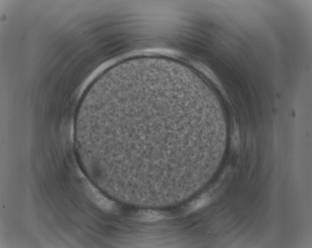 X0000084051420200703161845