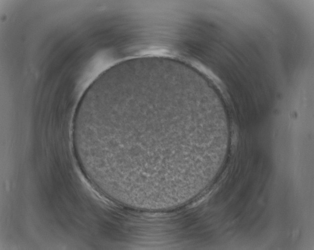 X0000084051423200703161845