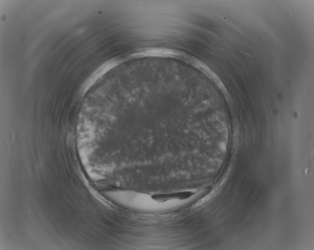 X0000084051425200703161845