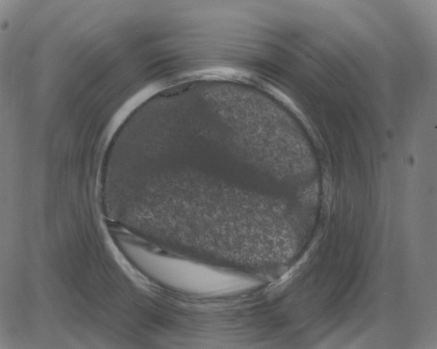 X0000084051426200703161845