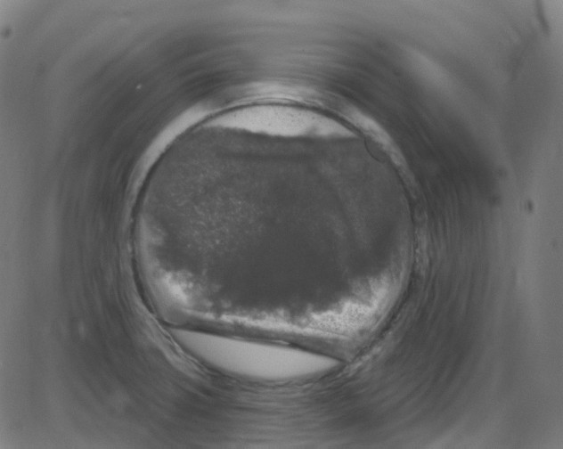 X0000084051427200703161845