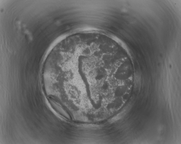 X0000084051429200703161845