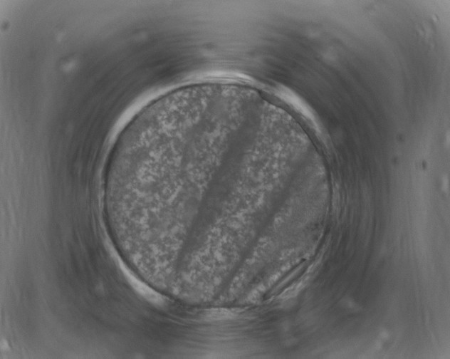 X0000084051430200703161845