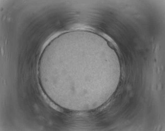 X0000084051431200703161845