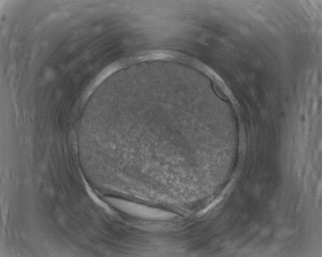 X0000084051433200703161845